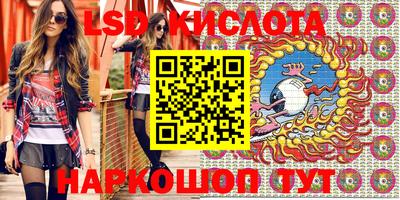 спайс Кингисепп