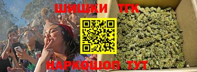 спайс Кингисепп