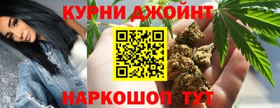 спайс Кингисепп