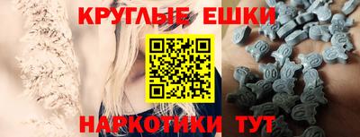 спайс Кингисепп