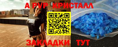 спайс Кингисепп